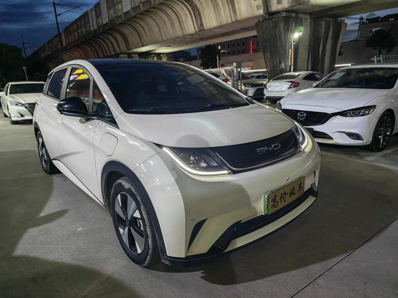 BYD 2023 Dolphins 420km Free Edition Automatic 2