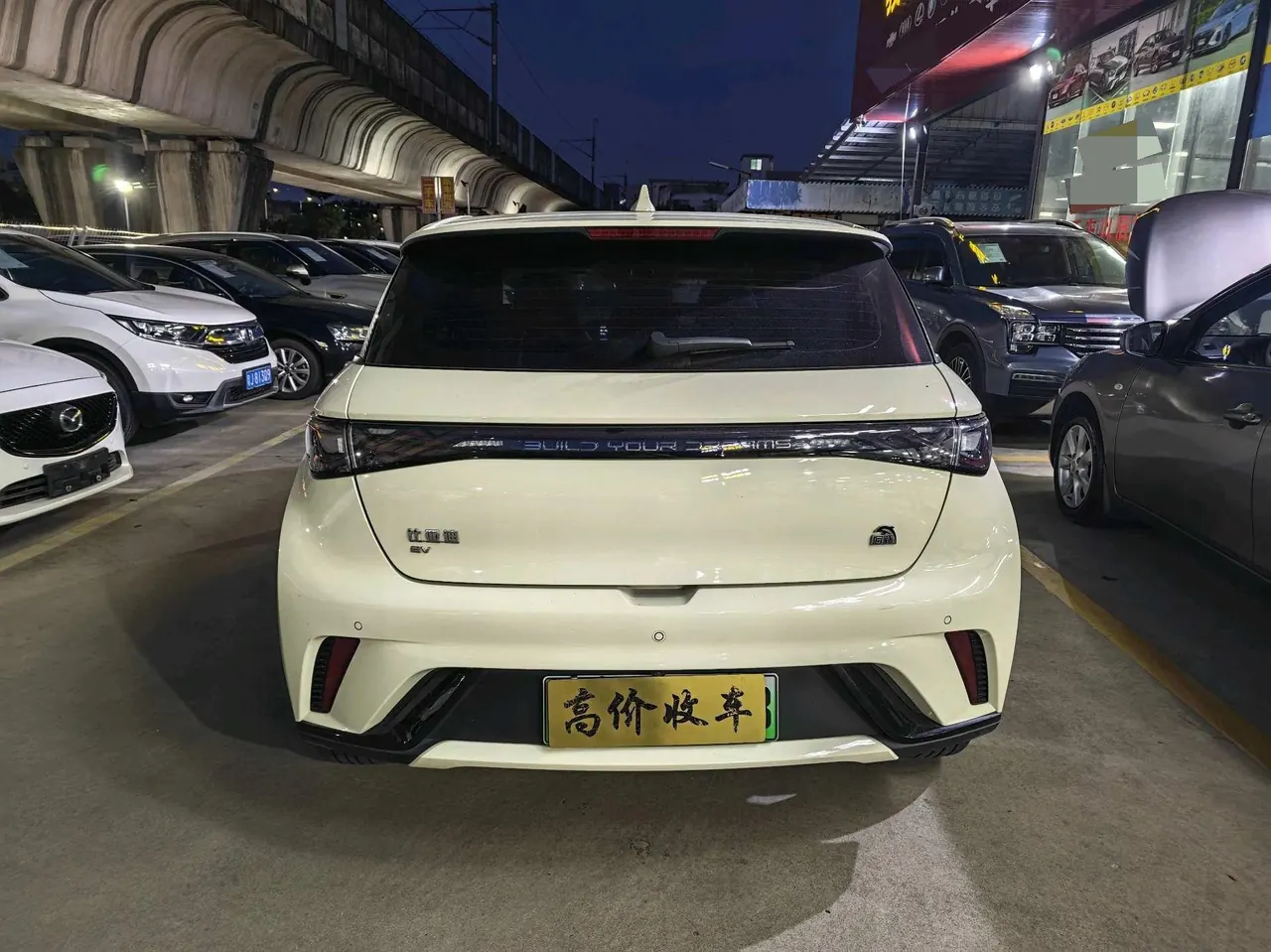 BYD 2023 Dolphins 420km Free Edition Automatic 5