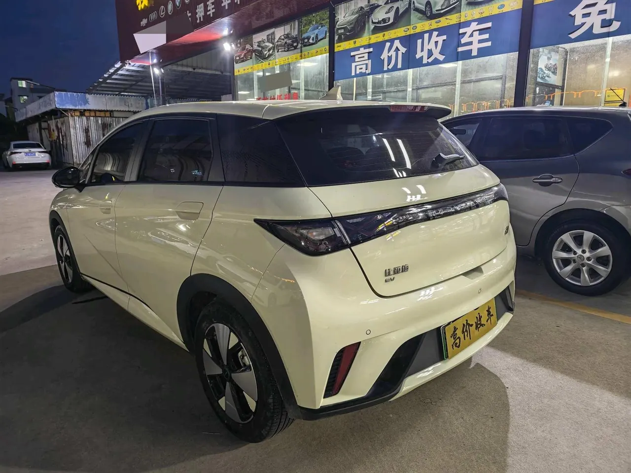 BYD 2023 Dolphins 420km Free Edition Automatic 6