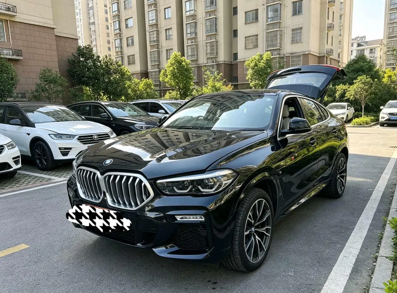 BMW X6 (Imported) 2020 X6 xDrive30i 2.0T M Sports Suit Automatic Gear - View 1