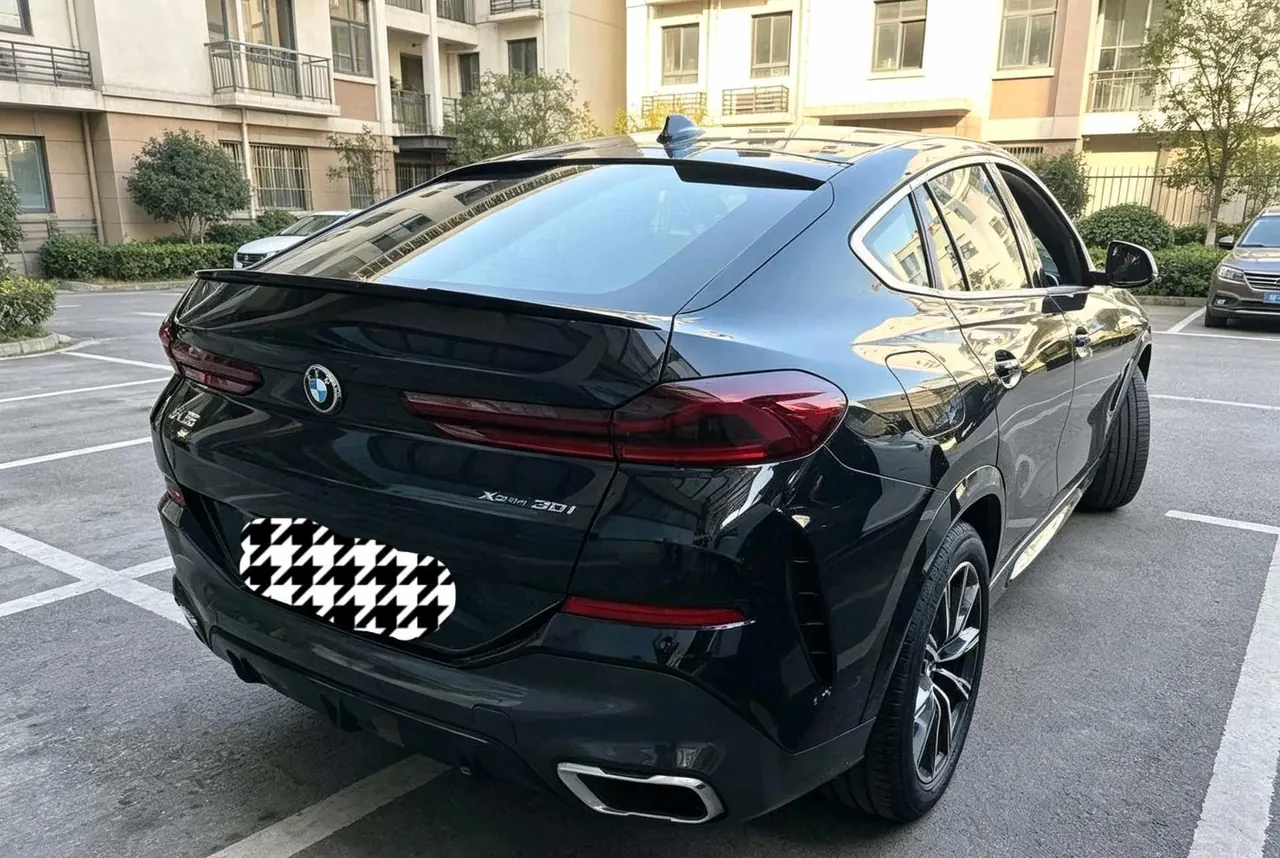 BMW X6 (Imported) 2020 X6 xDrive30i 2.0T M Sports Suit Automatic Gear 5
