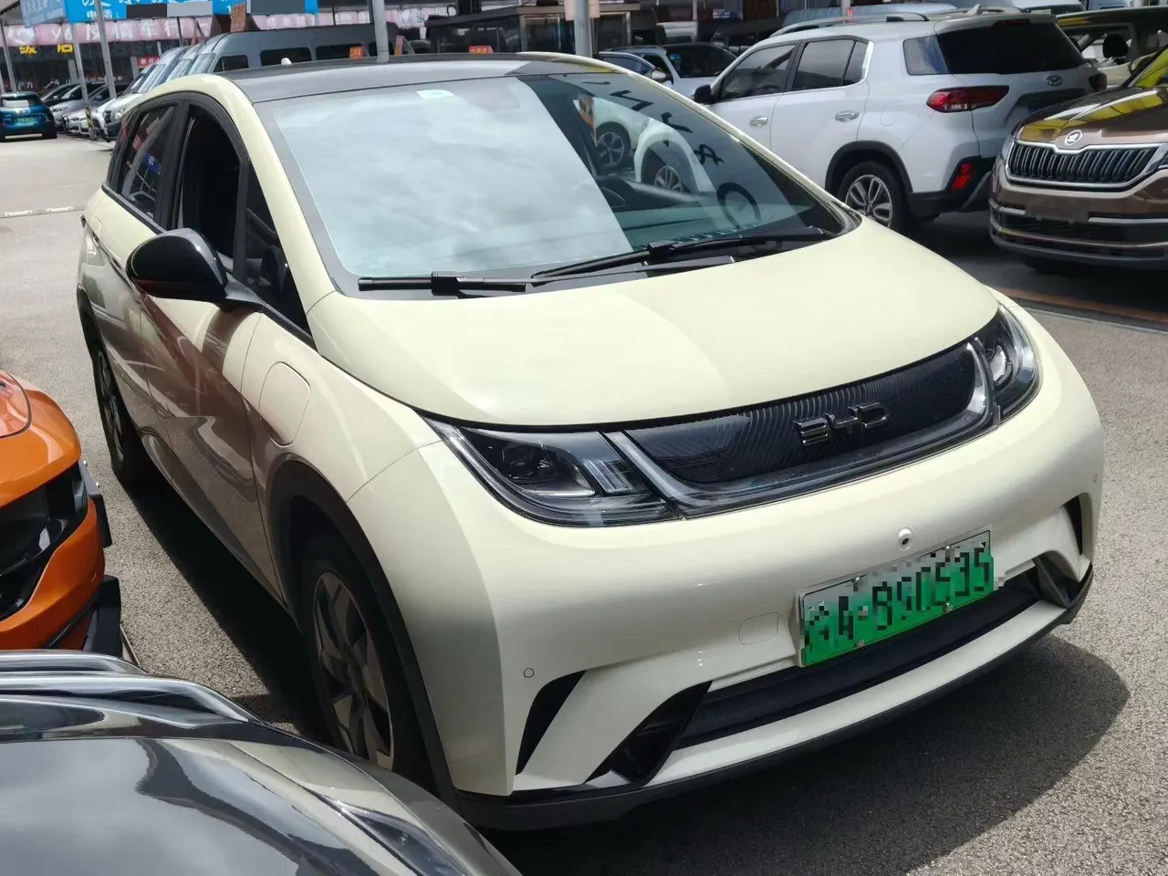 BYD 2025 Dolphin 420km Fashion Edition Automatic 2