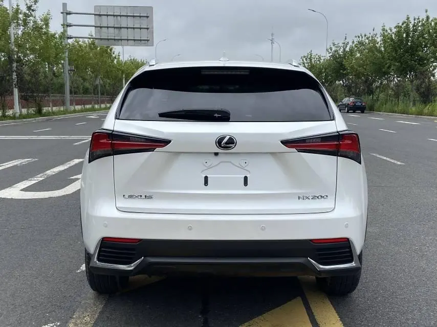 Lexus NX (Imported) 2020 NX200 2.0 Stepless Front Edition Automatic Gear 10