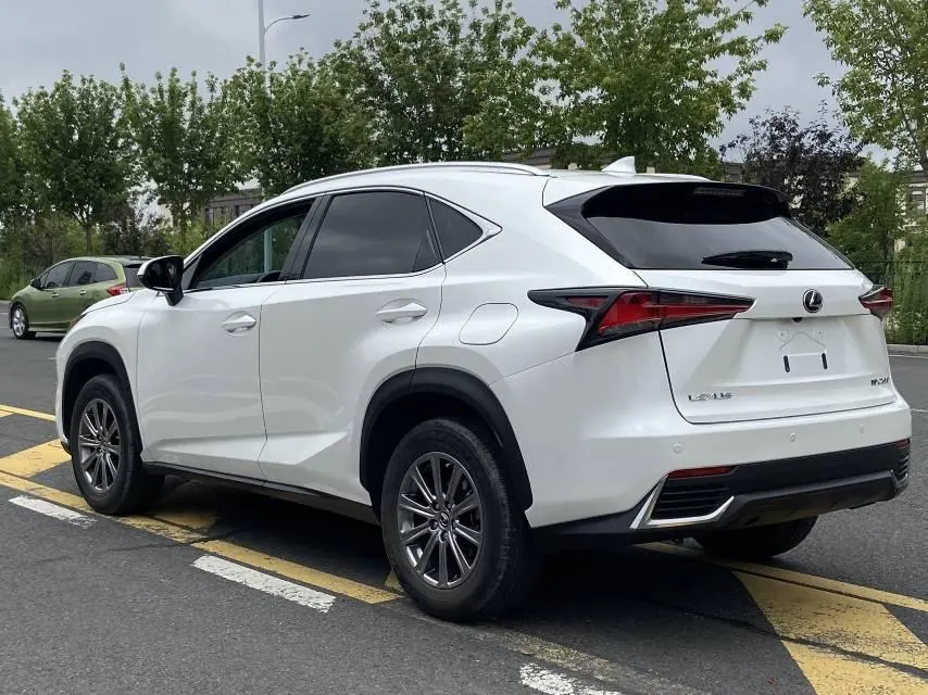 Lexus NX (Imported) 2020 NX200 2.0 Stepless Front Edition Automatic Gear 11