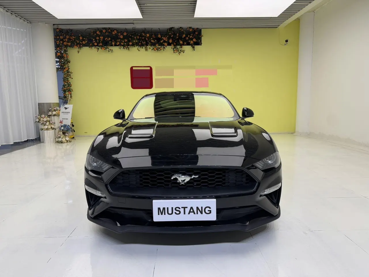 Ford Yema (Imported) 2020 Yema S 2.3T EcoBoost Shadow Performance Advanced Edition Automatic Gear 2
