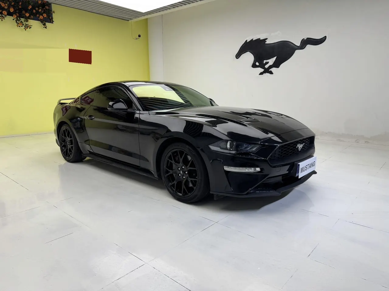 Ford Yema (Imported) 2020 Yema S 2.3T EcoBoost Shadow Performance Advanced Edition Automatic Gear 3