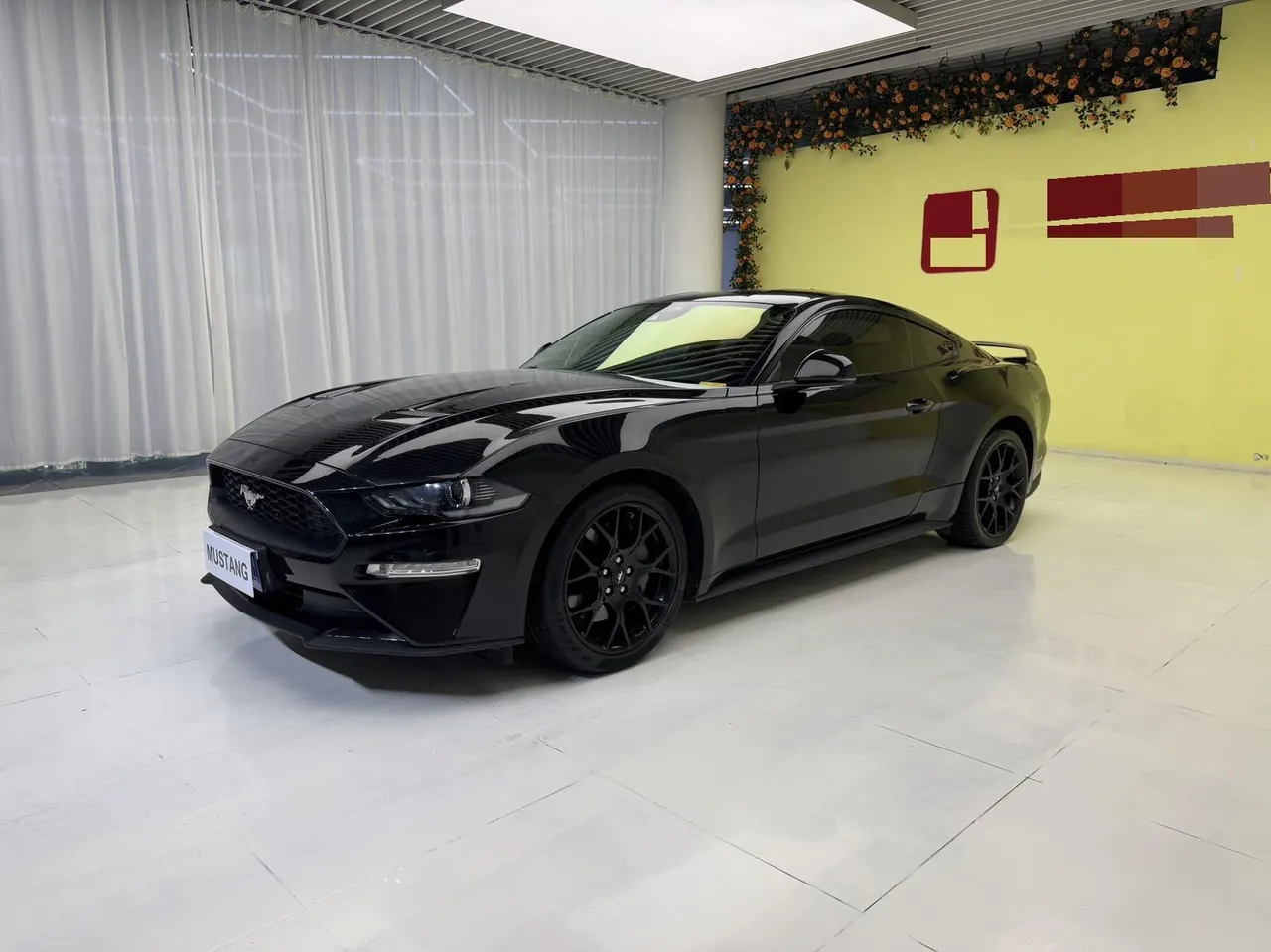 Ford Yema (Imported) 2020 Yema S 2.3T EcoBoost Shadow Performance Advanced Edition Automatic Gear 4