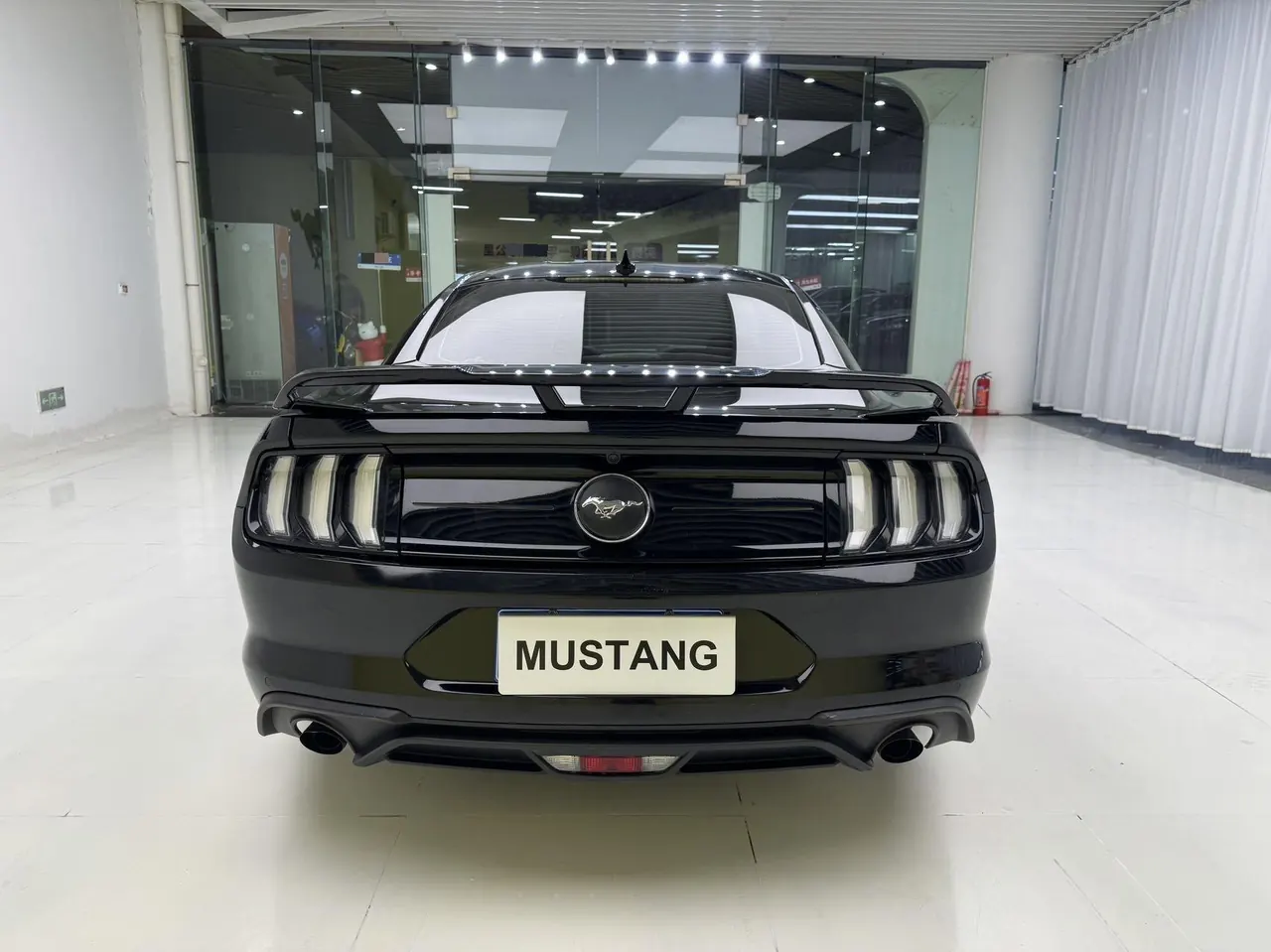 Ford Yema (Imported) 2020 Yema S 2.3T EcoBoost Shadow Performance Advanced Edition Automatic Gear 6