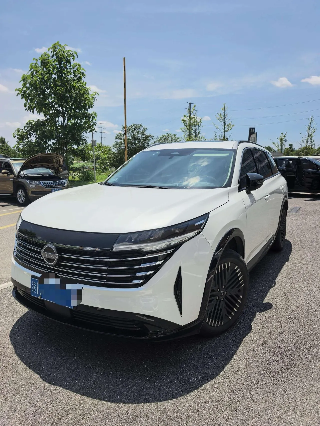 Open image lightbox: Nissan 2024 Tanlu 2.0T 380VC-TURBO 4-wheel drive Zhizun Edition 6-seat automatic gear