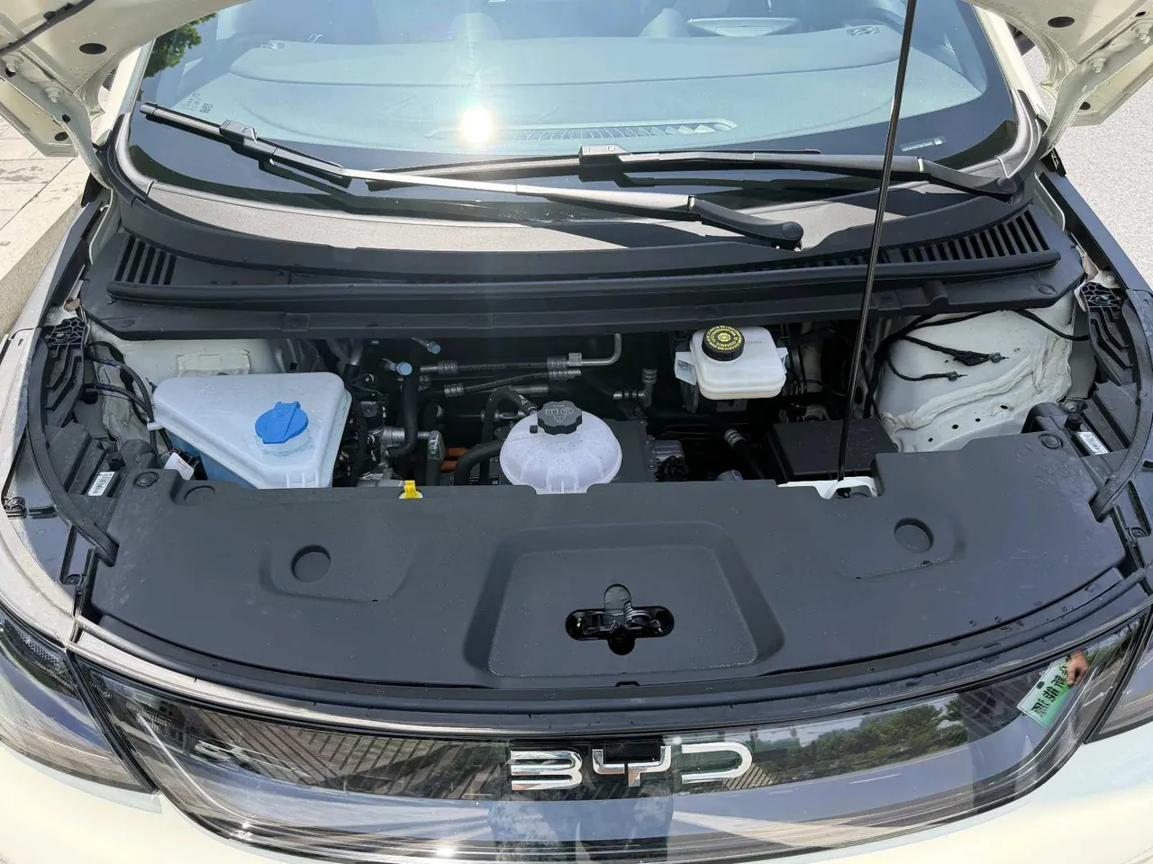 BYD 2025 Dolphin Smart Driving 410km Fashion Automatic Gear 2