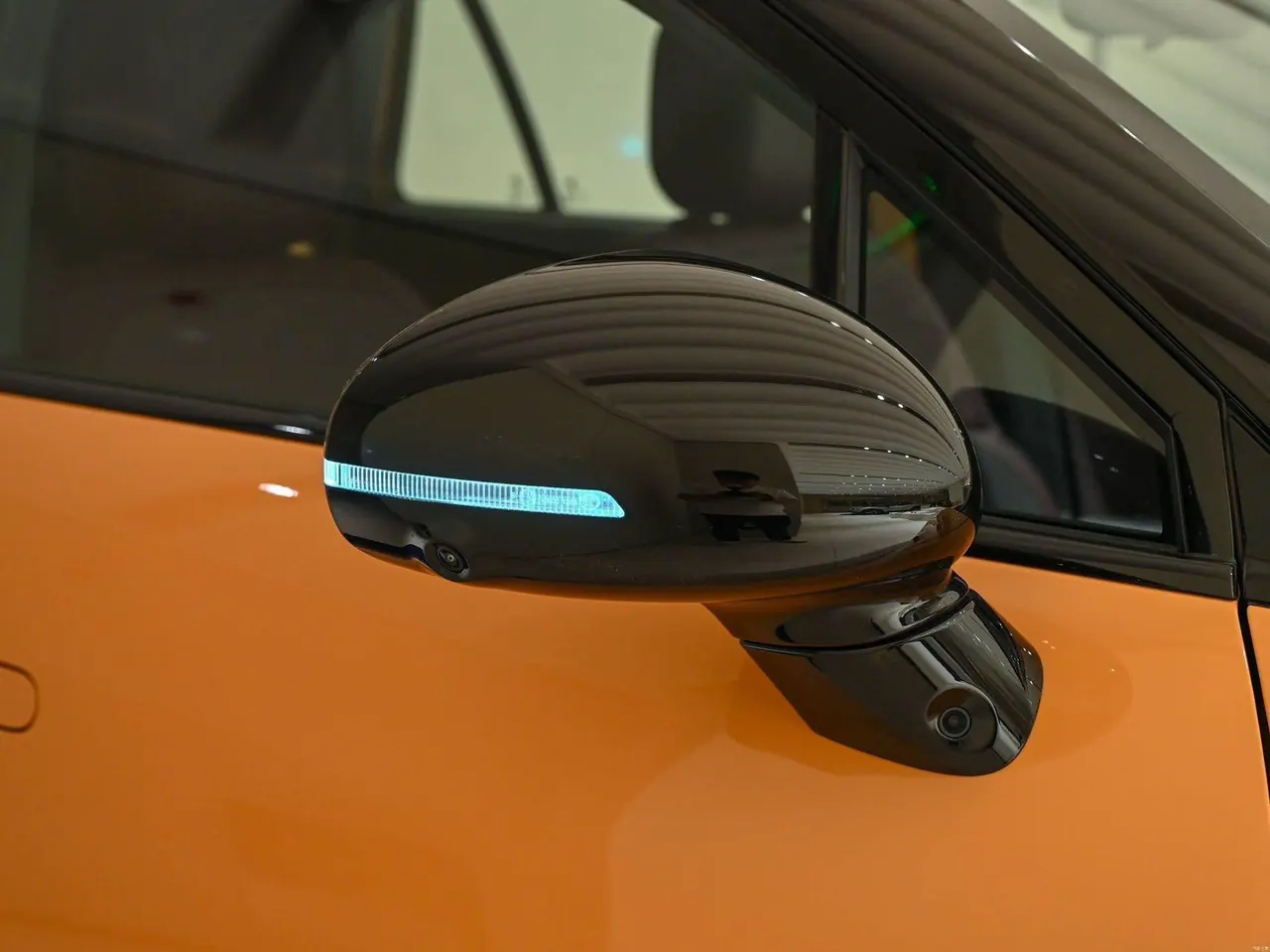 Firefly 2026 Firefly new luminous version of automatic gear 4