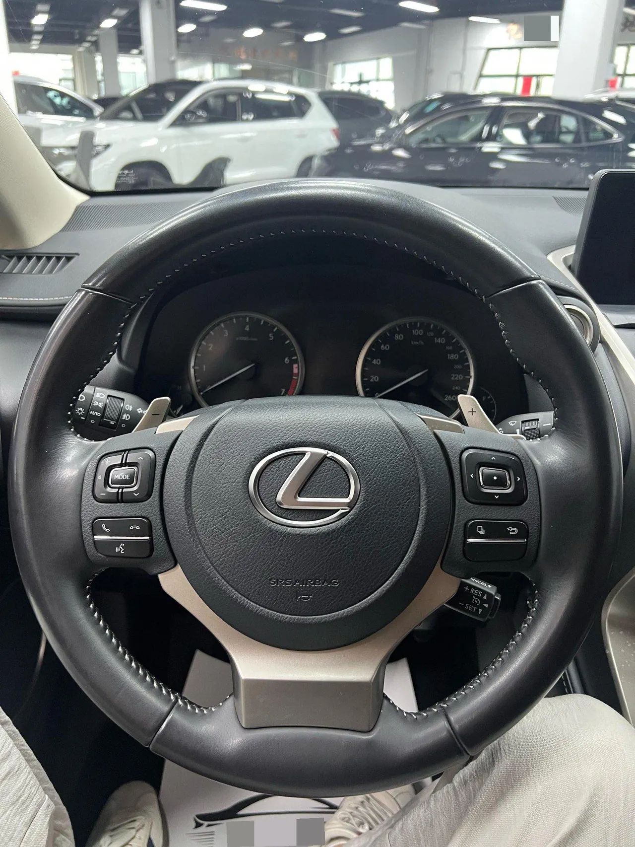 Lexus NX (Imported) 2020 NX200 2.0 Stepless Front Edition Automatic Gear 10