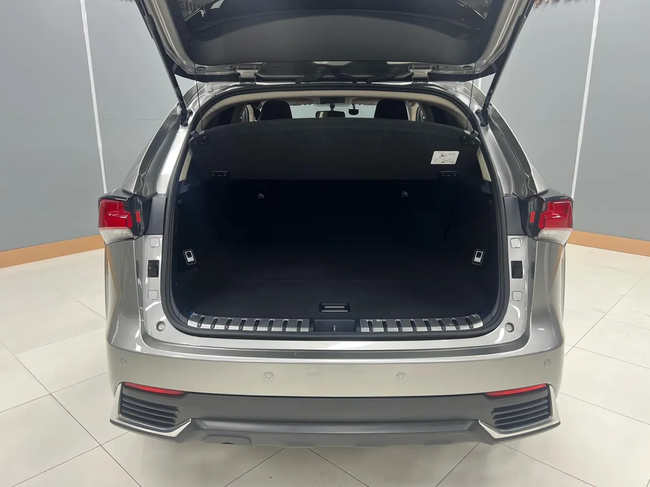 Lexus NX (Imported) 2020 NX200 2.0 Stepless Front Edition Automatic Gear 21