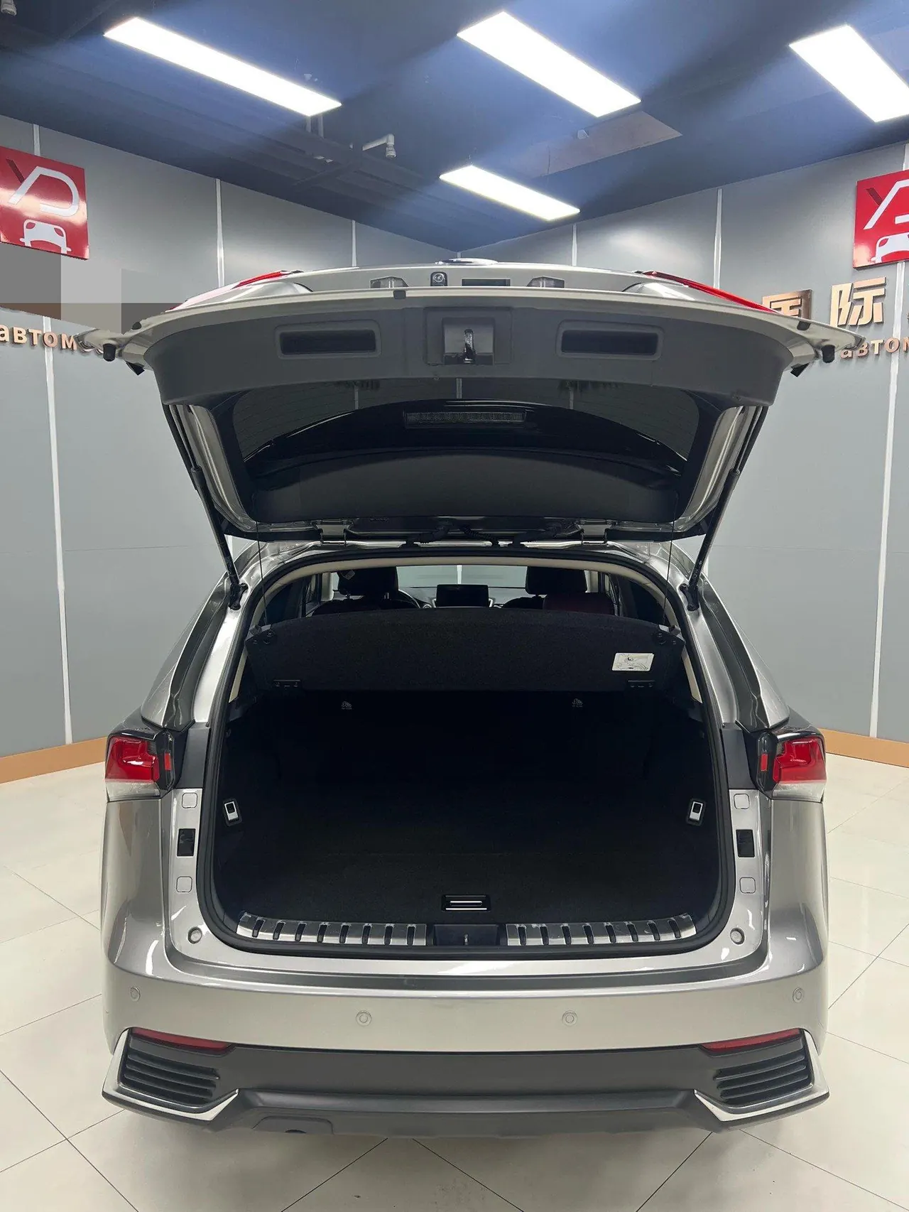 Lexus NX (Imported) 2020 NX200 2.0 Stepless Front Edition Automatic Gear 22
