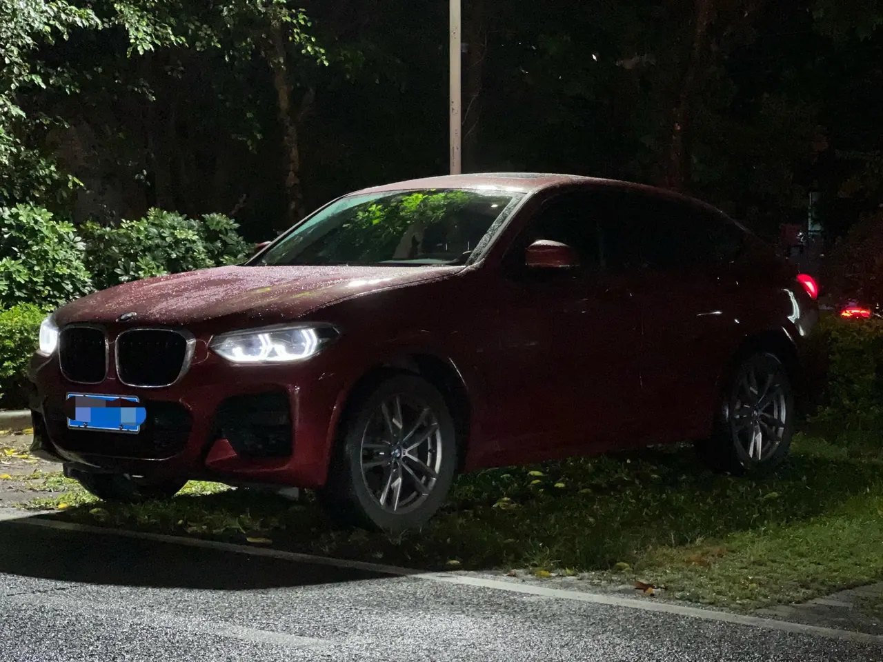 BMW X4 (Imported) 2021 X4 xDrive25i 2.0T M Sports Suit Automatic Gear 4