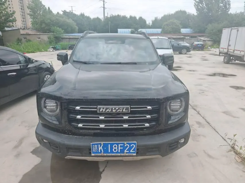 Haval 2022 big dogs 1.5T two-wheel-drive border animal husbandry version automatic gear 2