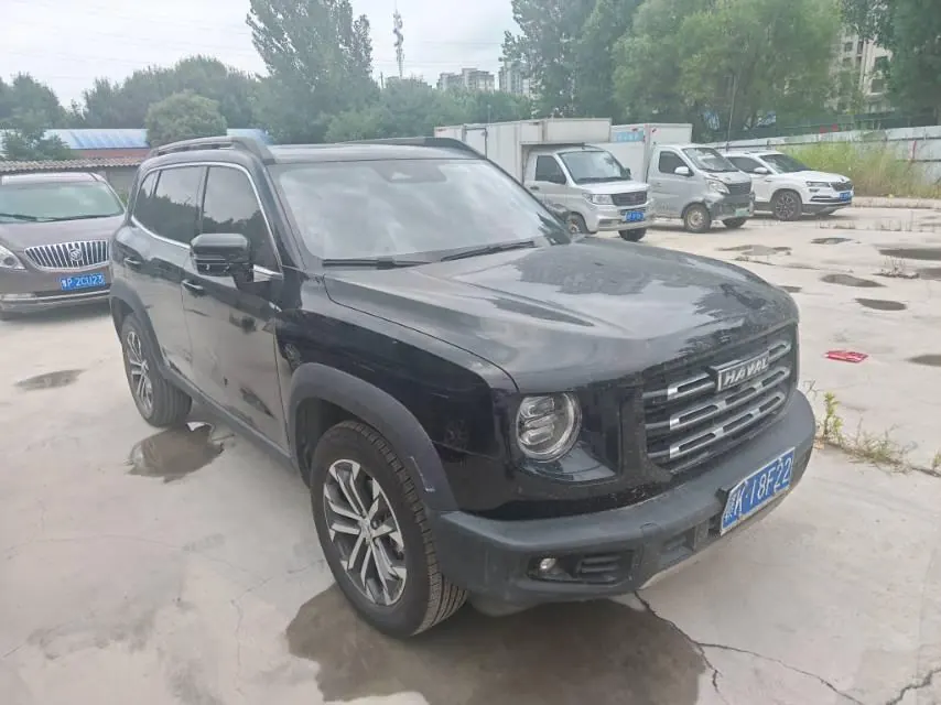 Haval 2022 big dogs 1.5T two-wheel-drive border animal husbandry version automatic gear 3