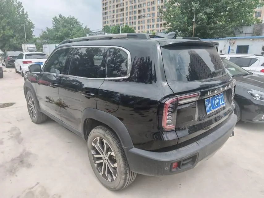 Haval 2022 big dogs 1.5T two-wheel-drive border animal husbandry version automatic gear 9