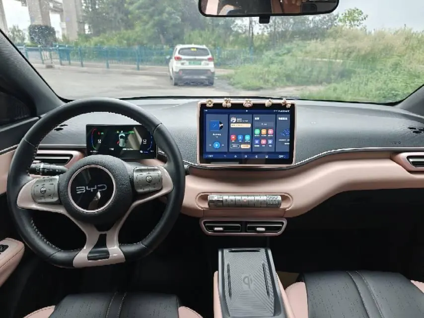 BYD 2024 Seagull Glory Edition 405km Flying Edition Automatic Gear 3