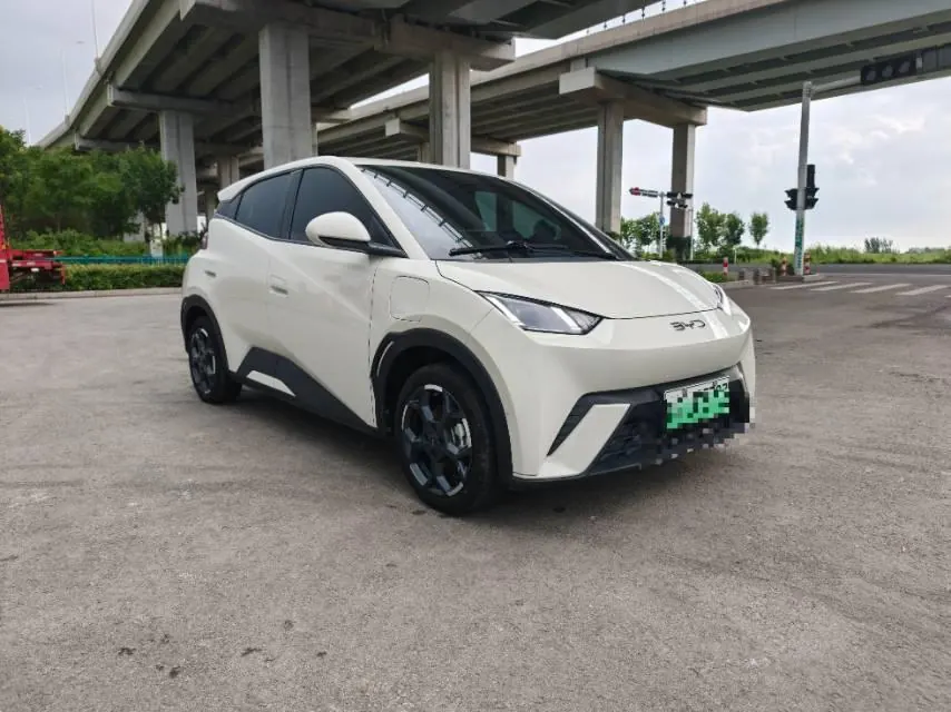BYD 2024 Seagull Glory Edition 405km Flying Edition Automatic Gear 6