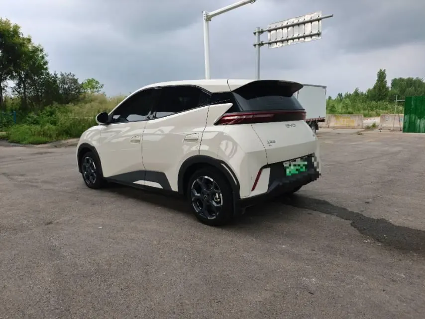 BYD 2024 Seagull Glory Edition 405km Flying Edition Automatic Gear 7