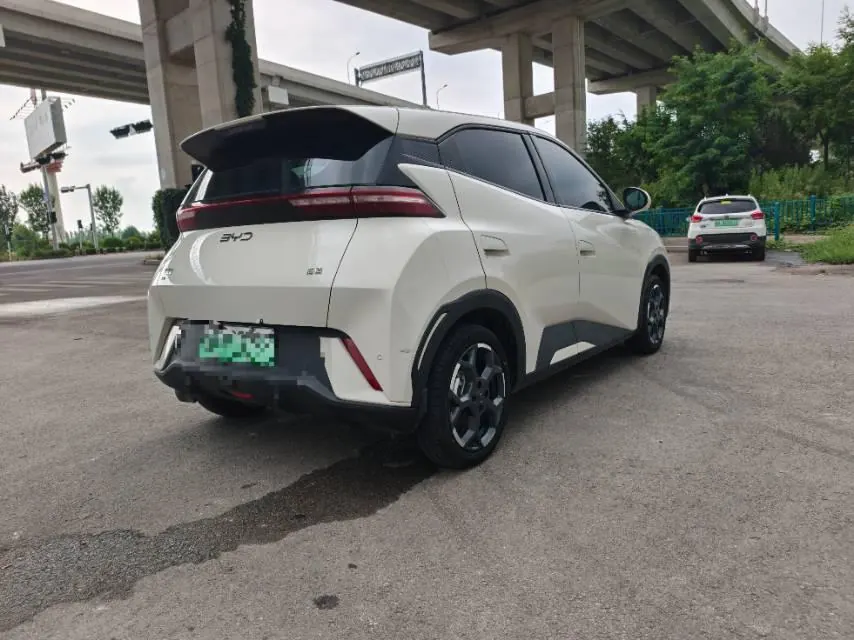 BYD 2024 Seagull Glory Edition 405km Flying Edition Automatic Gear 8