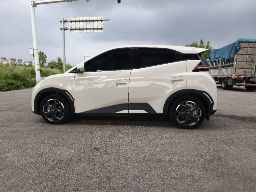 BYD 2024 Seagull Glory Edition 405km Flying Edition Automatic Gear 9