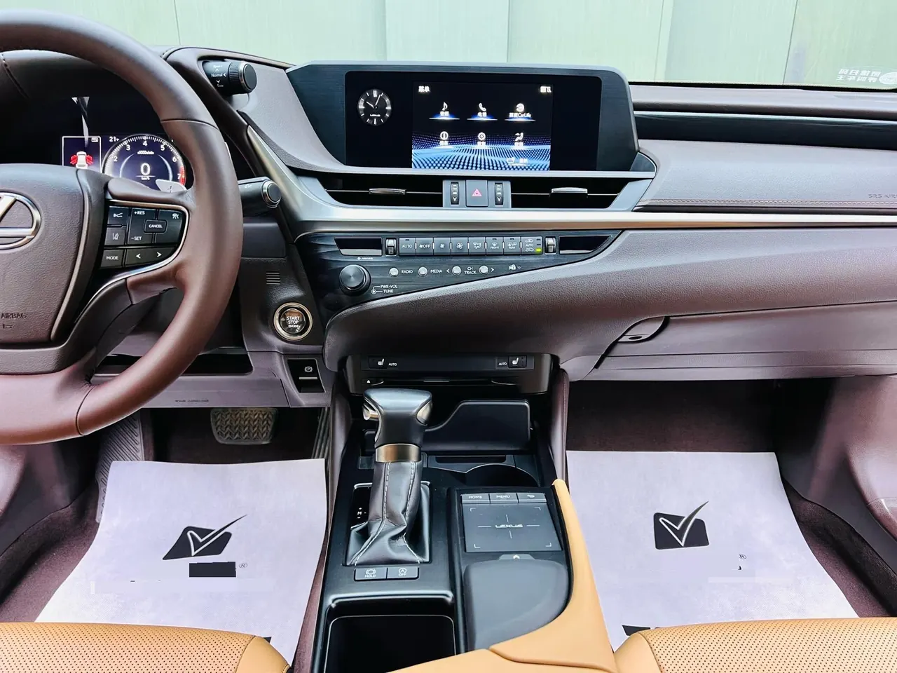 Lexus ES (Imported) 2020 ES200 2.0 Stepless Premium Edition Automatic Gear 6