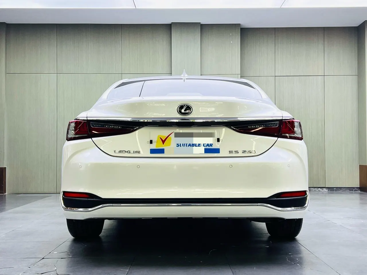 Lexus ES (Imported) 2020 ES200 2.0 Stepless Premium Edition Automatic Gear 9