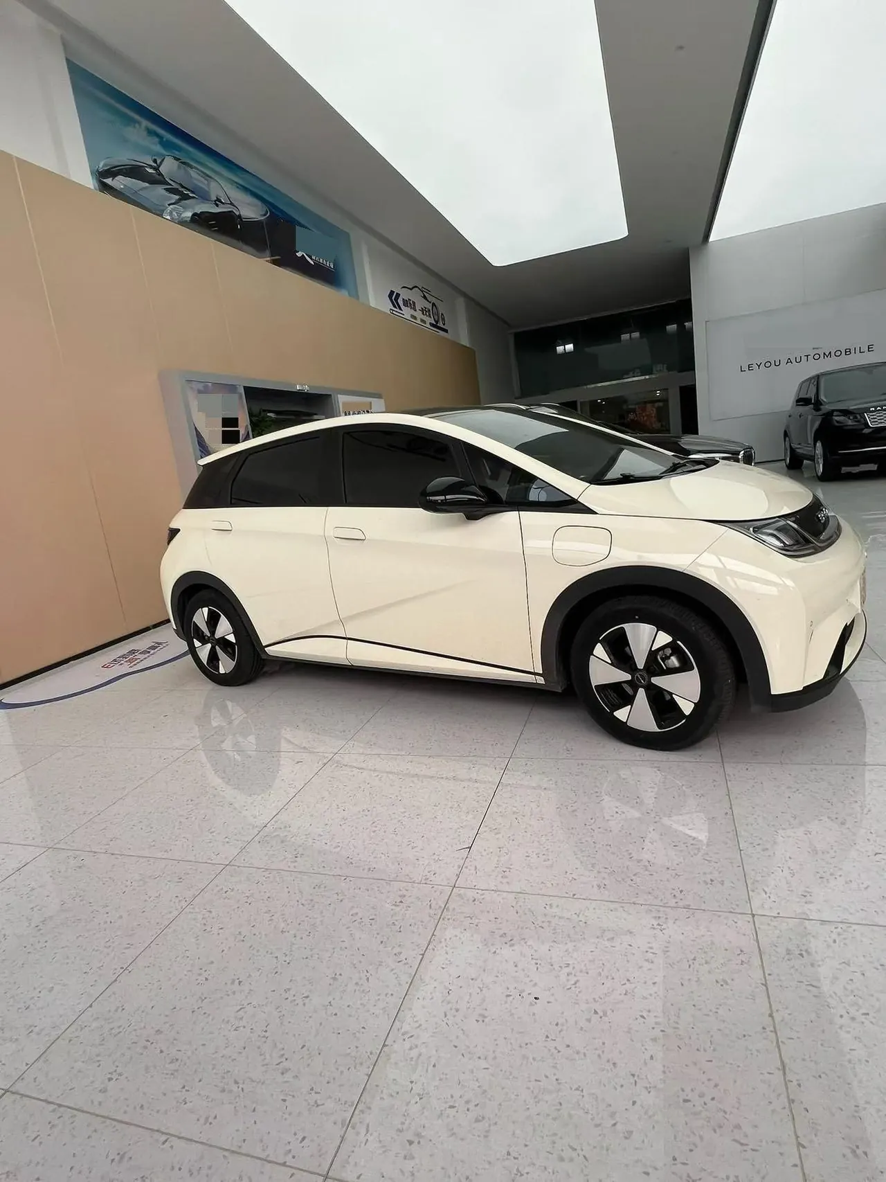BYD 2023 Dolphin 420km Fashion Edition Automatic 2