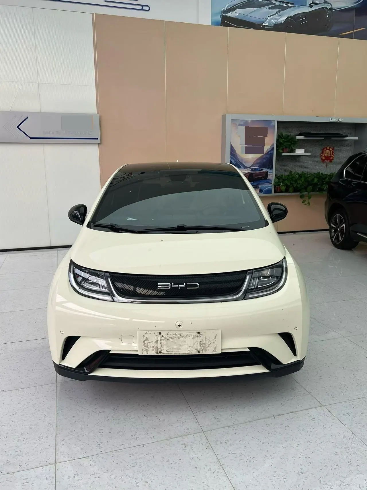 BYD 2023 Dolphin 420km Fashion Edition Automatic 6
