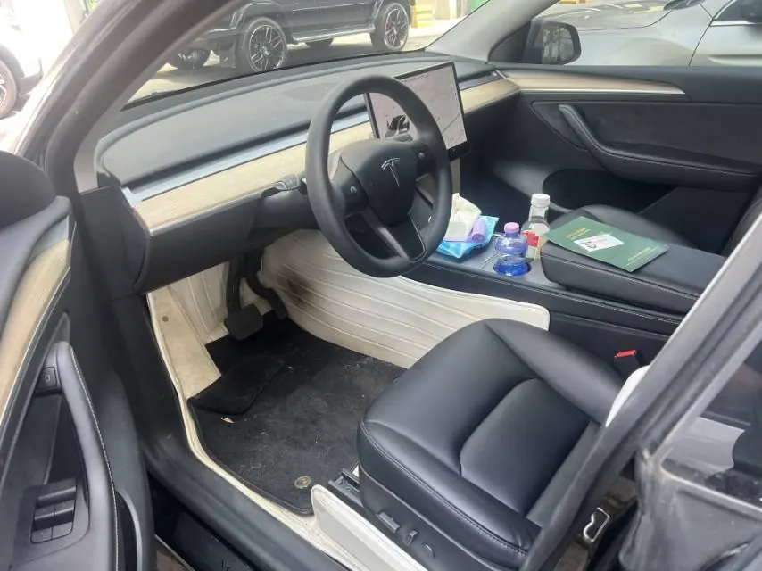 Tesla 2021 Model Y Standard Endurance Rear Drive Automatic Gear 3