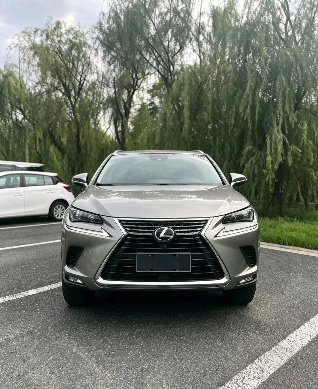 Lexus NX (Imported) 2020 NX200 2.0 Stepless Front Edition Automatic Gear 2