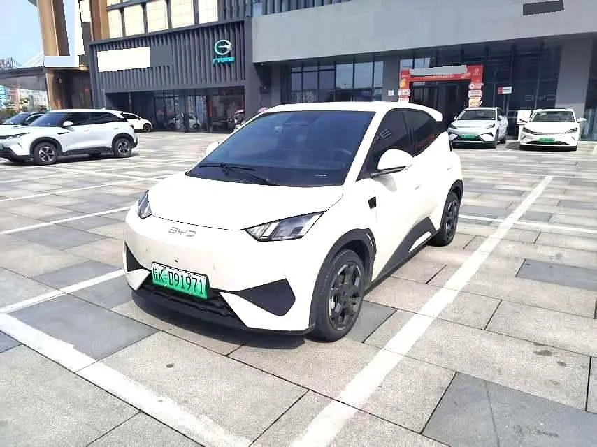BYD 2025 Seagull Smart Driving Edition 305km Free Edition Automatic Gear - View 1