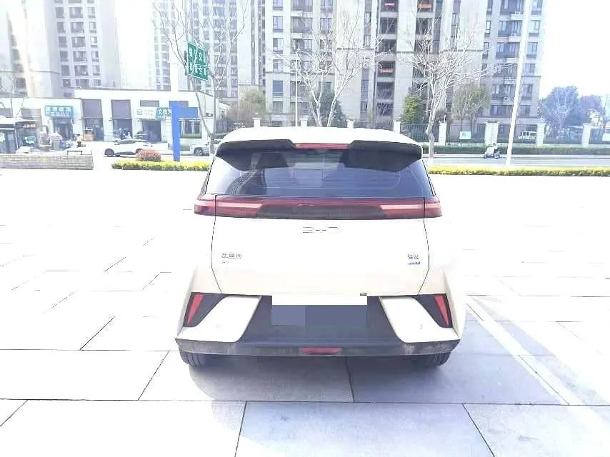 BYD 2025 Seagull Smart Driving Edition 305km Free Edition Automatic Gear 5