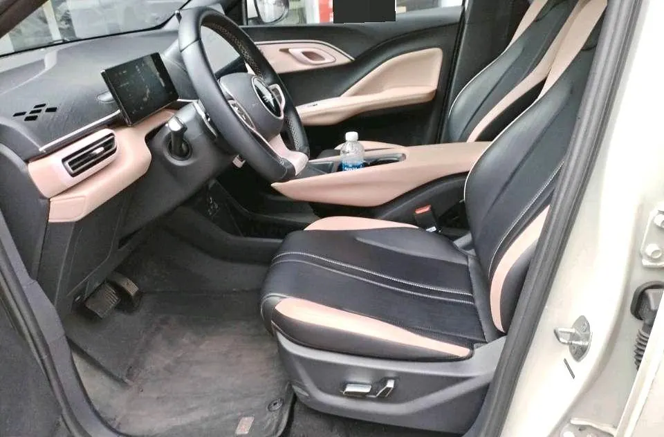 BYD 2025 Seagull Smart Driving Edition 305km Free Edition Automatic Gear 6
