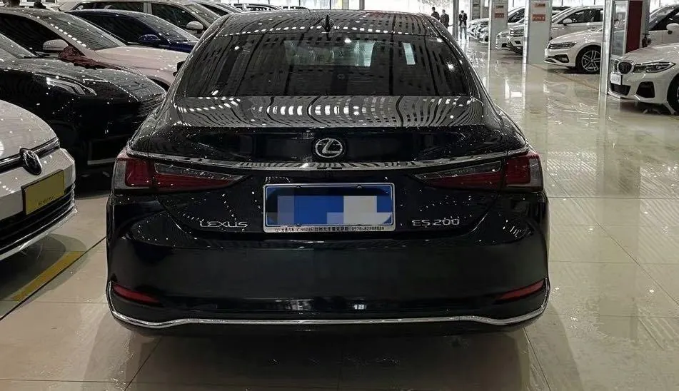 Lexus ES (Imported) 2020 ES200 2.0 Stepless Premium Edition Automatic Gear 5