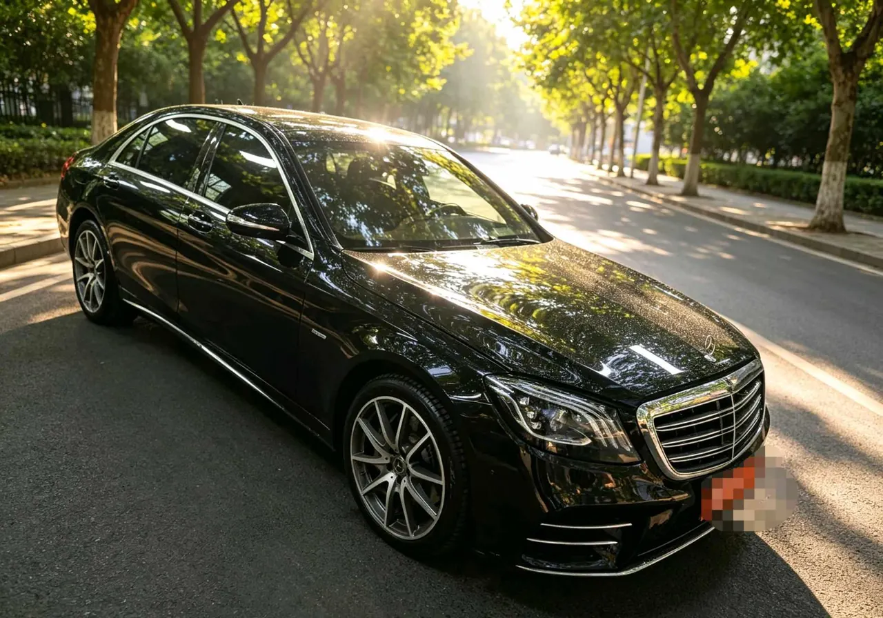 Mercedes Benz S-Class (Imported) 2020 S 450 L 4MATIC 48V 3.0T Tibetan Edition Automatic Gear 2