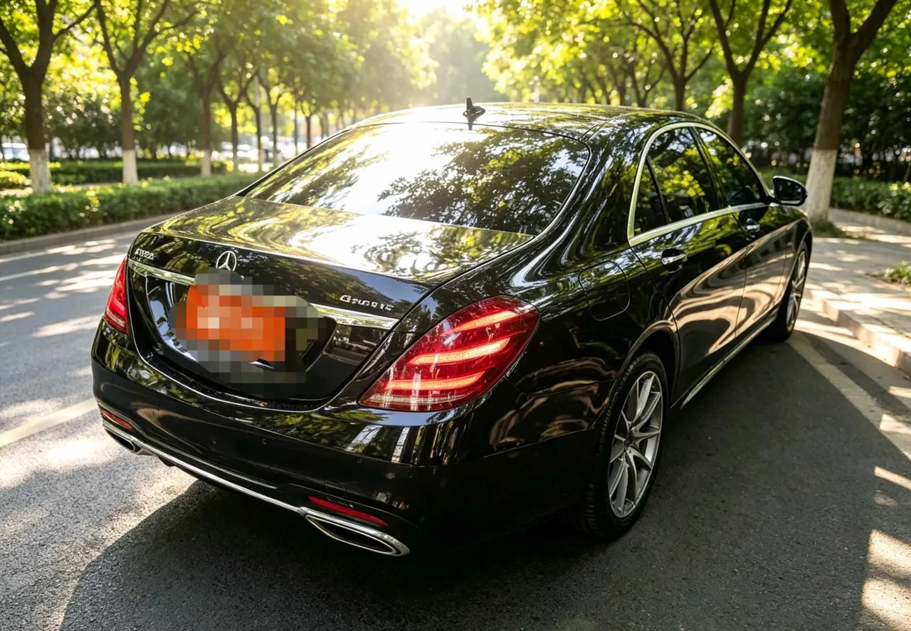 Mercedes Benz S-Class (Imported) 2020 S 450 L 4MATIC 48V 3.0T Tibetan Edition Automatic Gear 3