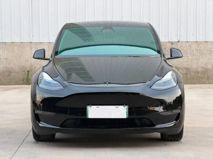 Tesla 2021 Model Y long endurance all-wheel drive version automatic transmission 2