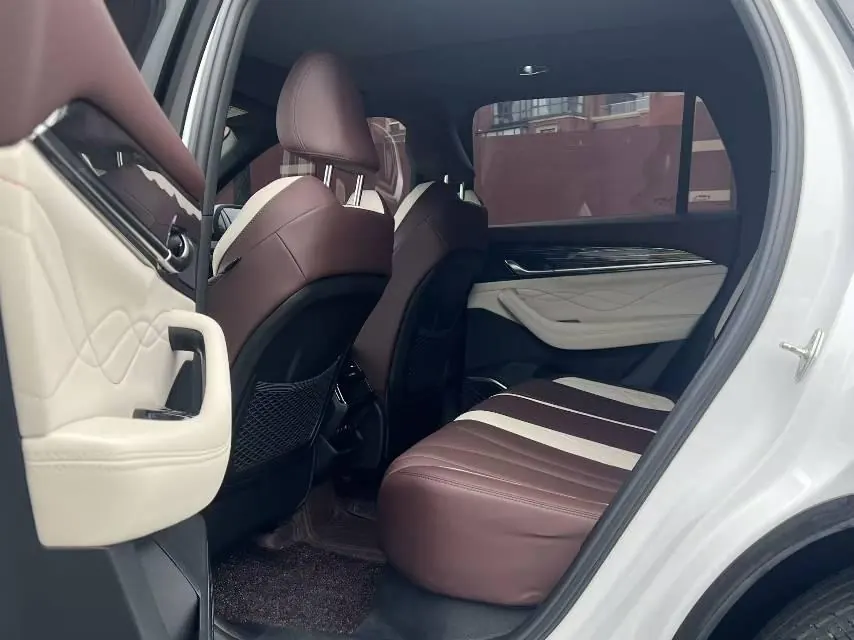Geely 2024 XingyueL (Monjaro) 2.0TD high-power two-wheel drive cloud version automatic gear 3