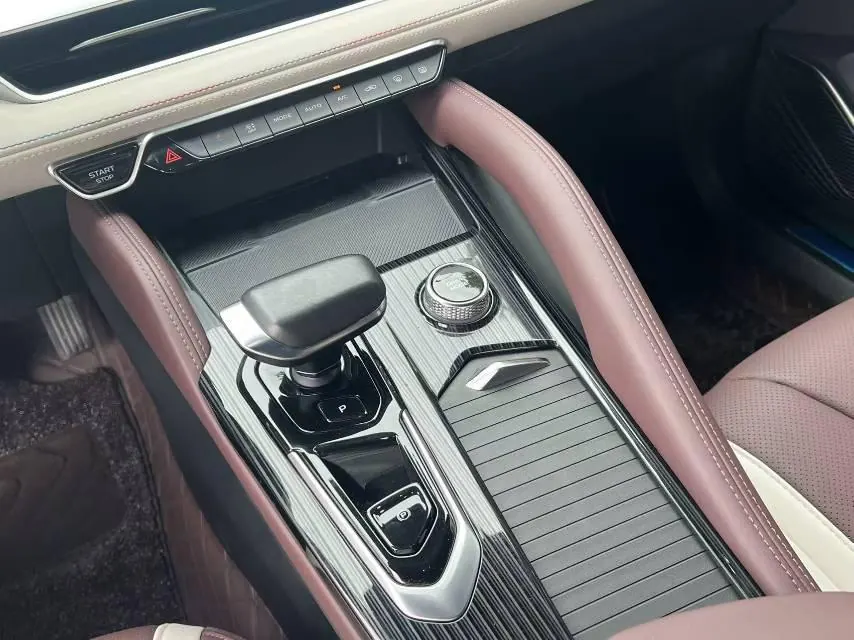 Geely 2024 XingyueL (Monjaro) 2.0TD high-power two-wheel drive cloud version automatic gear 4