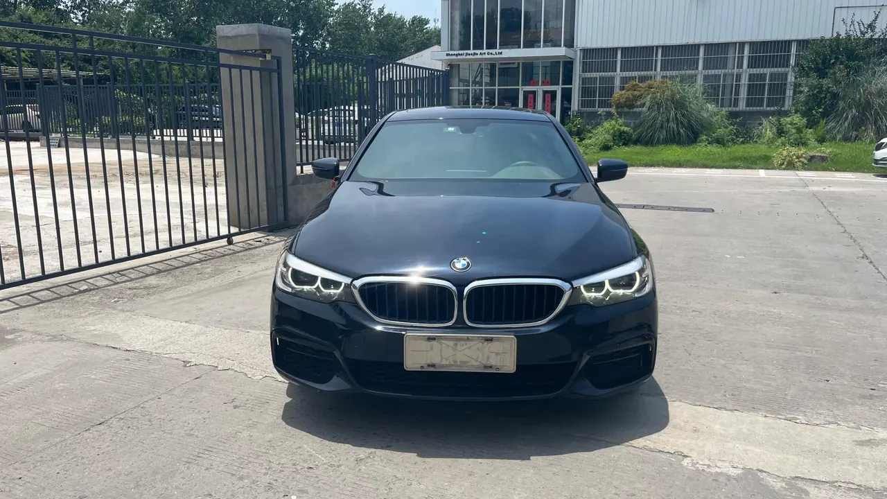 BMW 5 Series 2020 525Li 2.0T M Sports Suit Automatic Gear 2