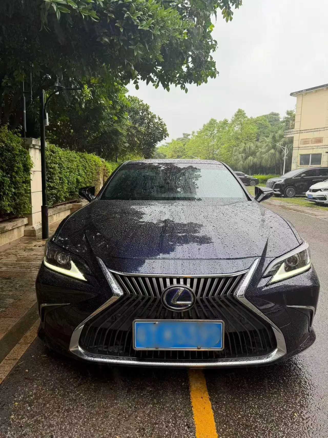 Lexus ES (Imported) 2020 ES300h 2.5 Stepless Excellence Edition Automatic Gear 2