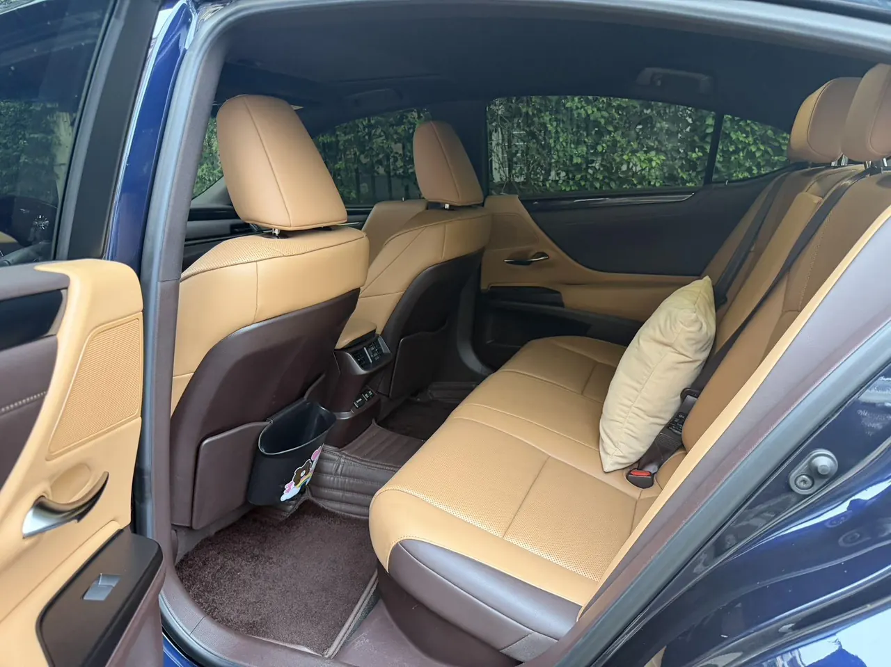 Lexus ES (Imported) 2020 ES300h 2.5 Stepless Excellence Edition Automatic Gear 6