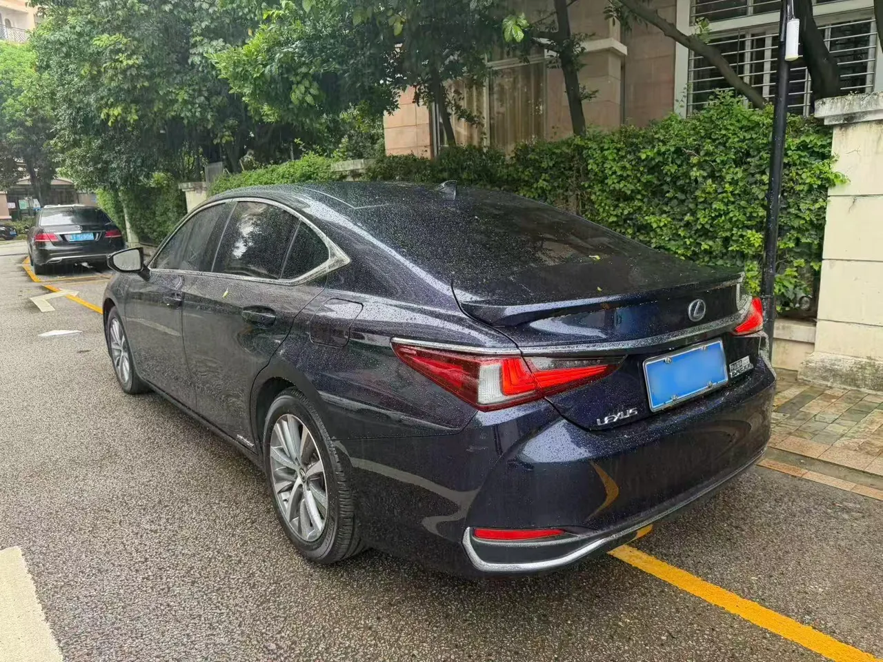 Lexus ES (Imported) 2020 ES300h 2.5 Stepless Excellence Edition Automatic Gear 7