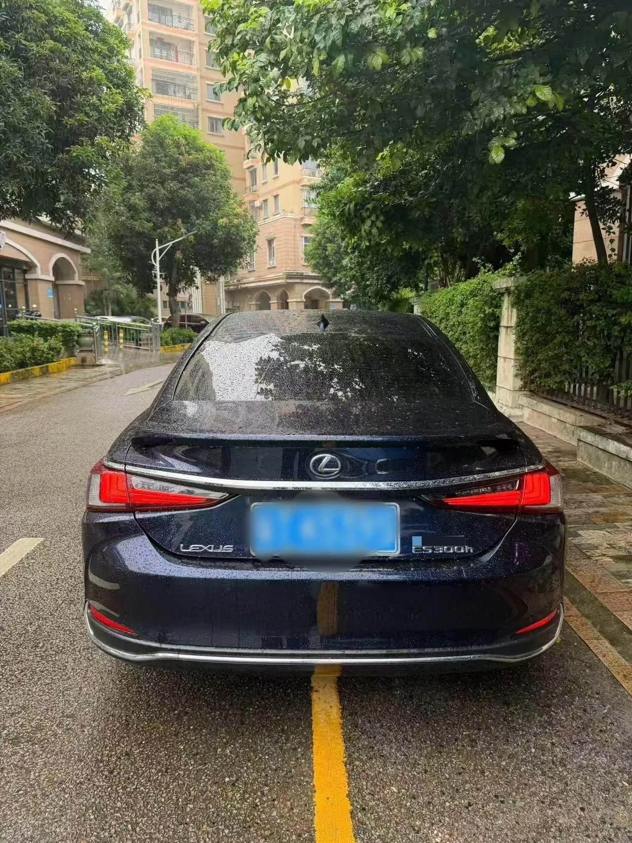 Lexus ES (Imported) 2020 ES300h 2.5 Stepless Excellence Edition Automatic Gear 8