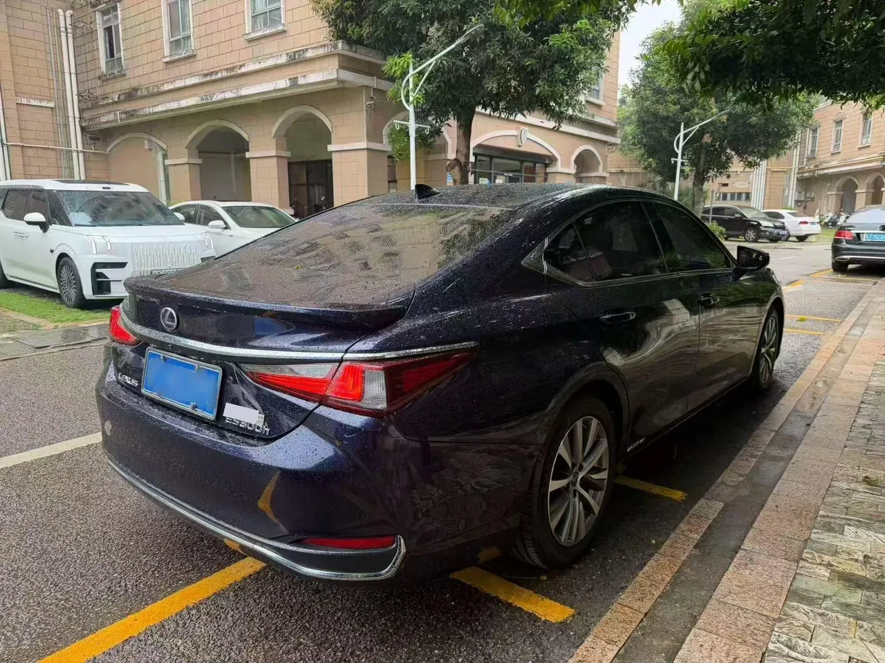 Lexus ES (Imported) 2020 ES300h 2.5 Stepless Excellence Edition Automatic Gear 9