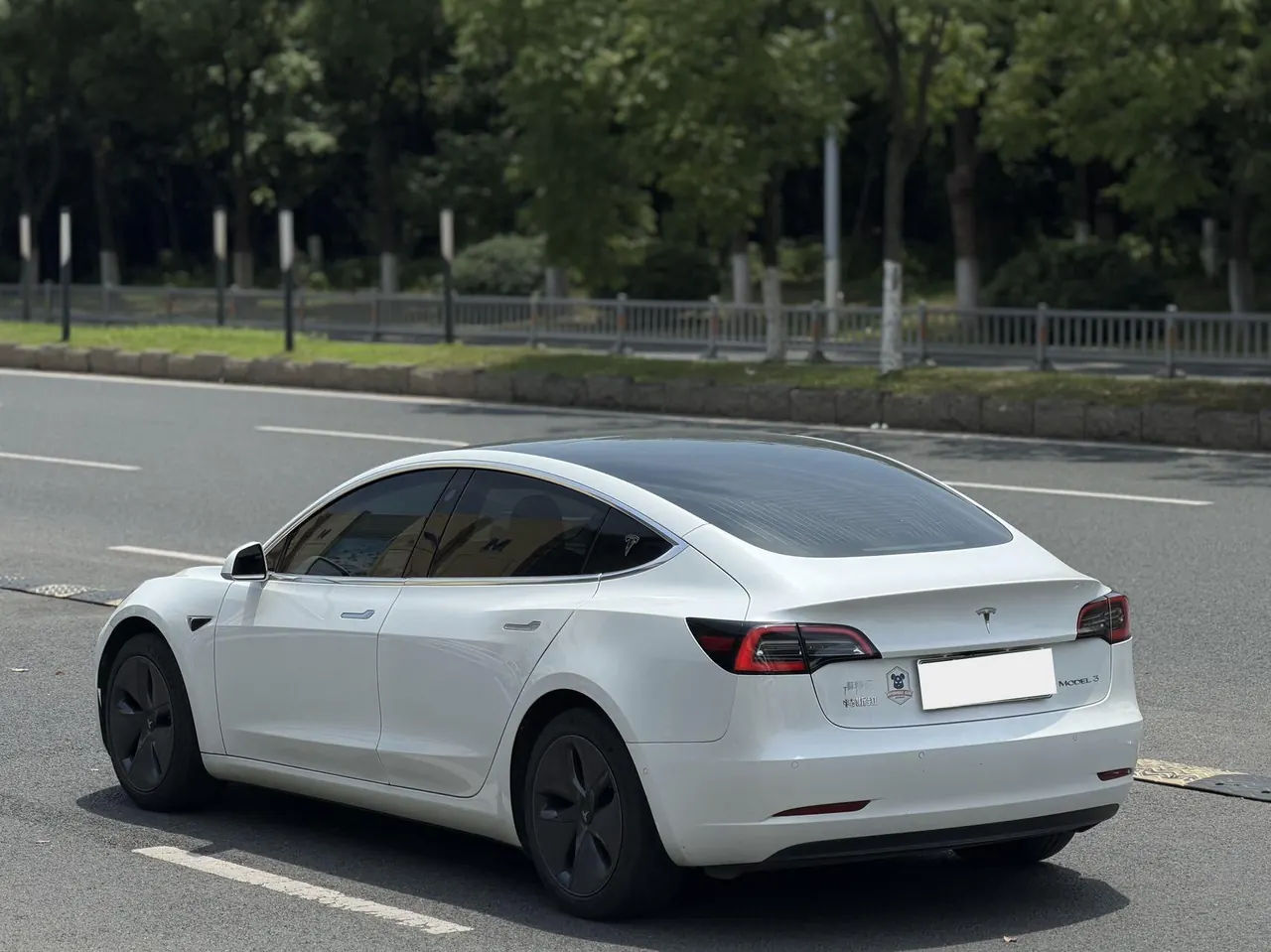 Tesla 2020 Model 3 Standard Endurance Rear Drive Upgraded Automatic Gear 4