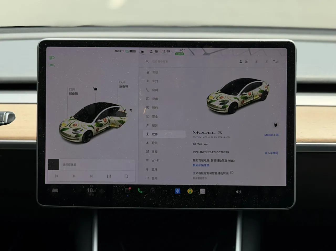 Tesla 2020 Model 3 Standard Endurance Rear Drive Upgraded Automatic Gear 9